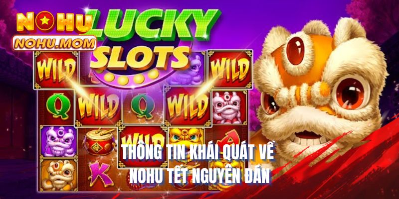 Thông tin khái quát về NOHU Tết Nguyên Đán